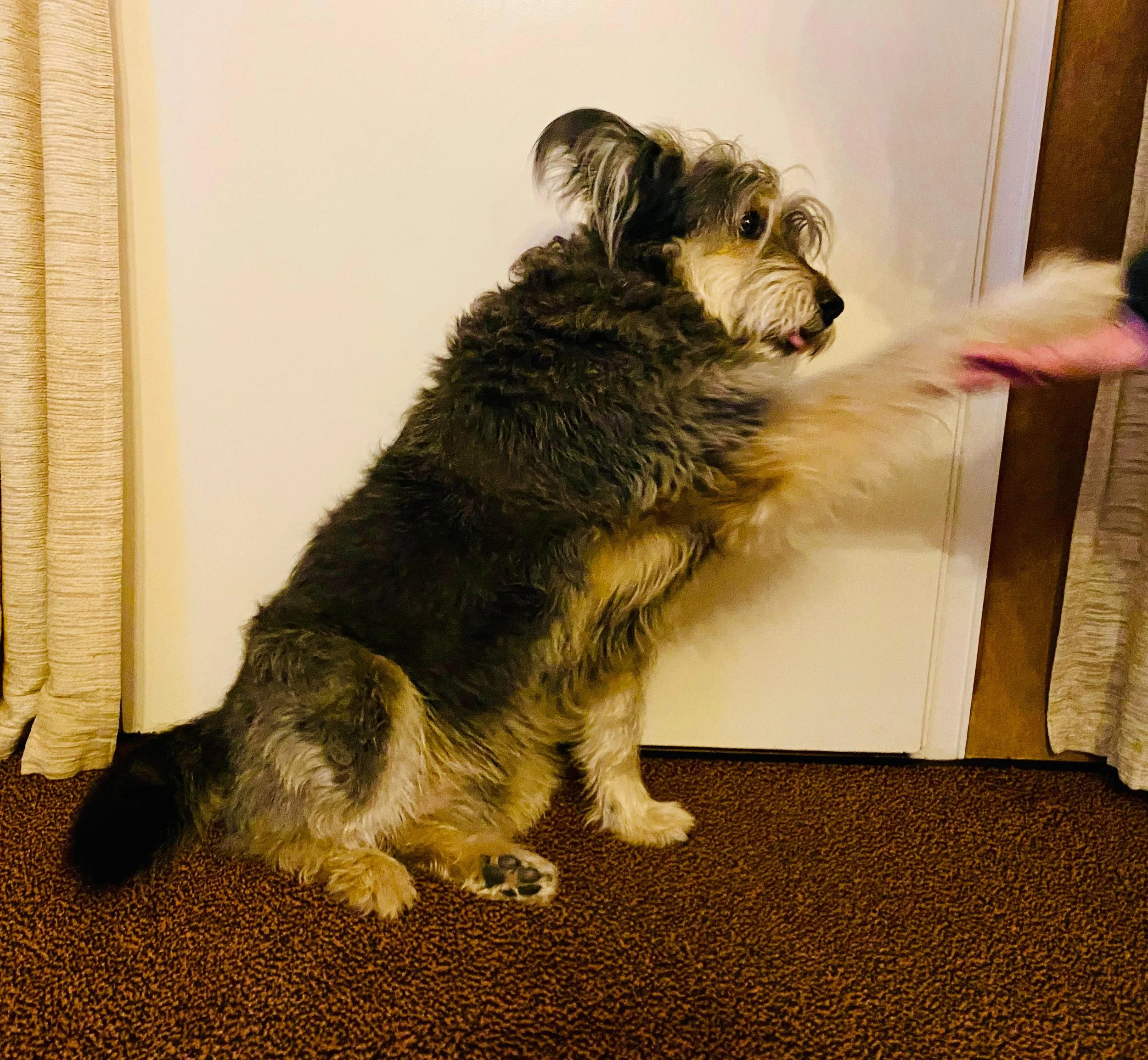 WhatsApp Image 2026-01-10 at 12.02.47.jpeg