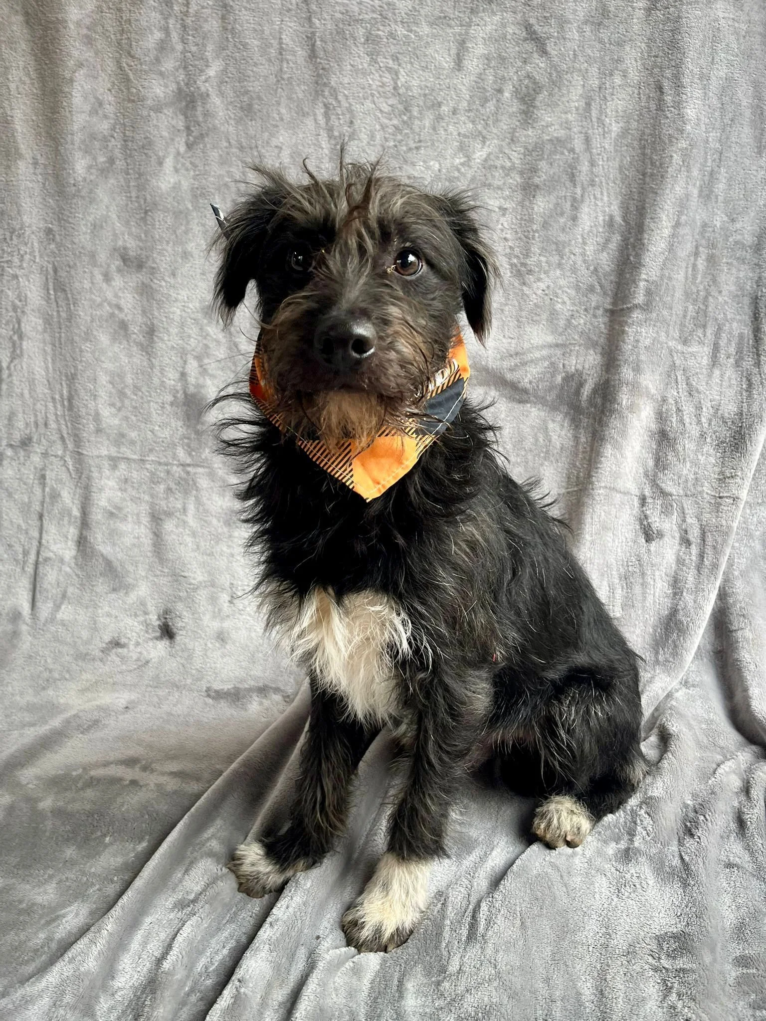 WhatsApp Image 2026-01-03 at 13.03.42 (2).jpeg