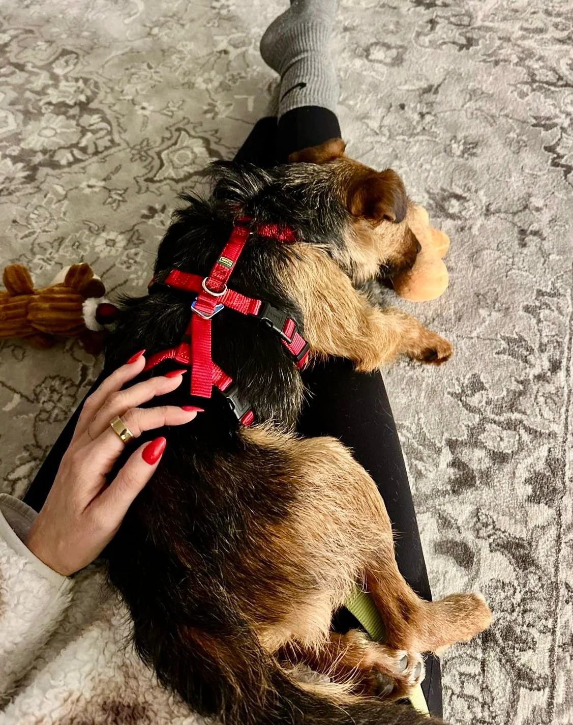 WhatsApp Image 2025-12-19 at 14.41.20 (2).jpeg