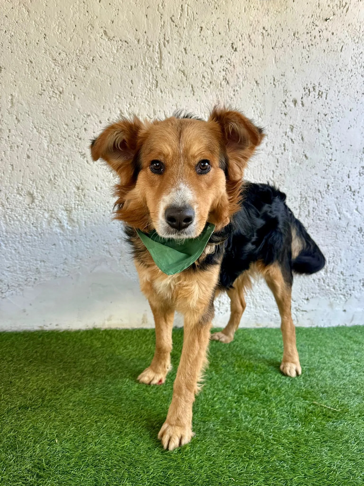 WhatsApp Image 2026-01-09 at 20.25.57 (1).jpeg