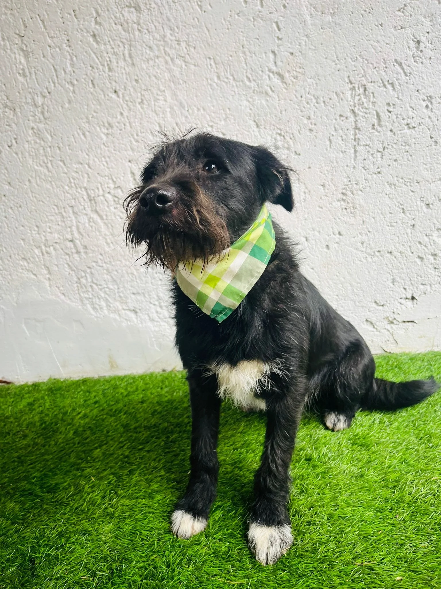 WhatsApp Image 2026-01-03 at 17.56.37.jpeg