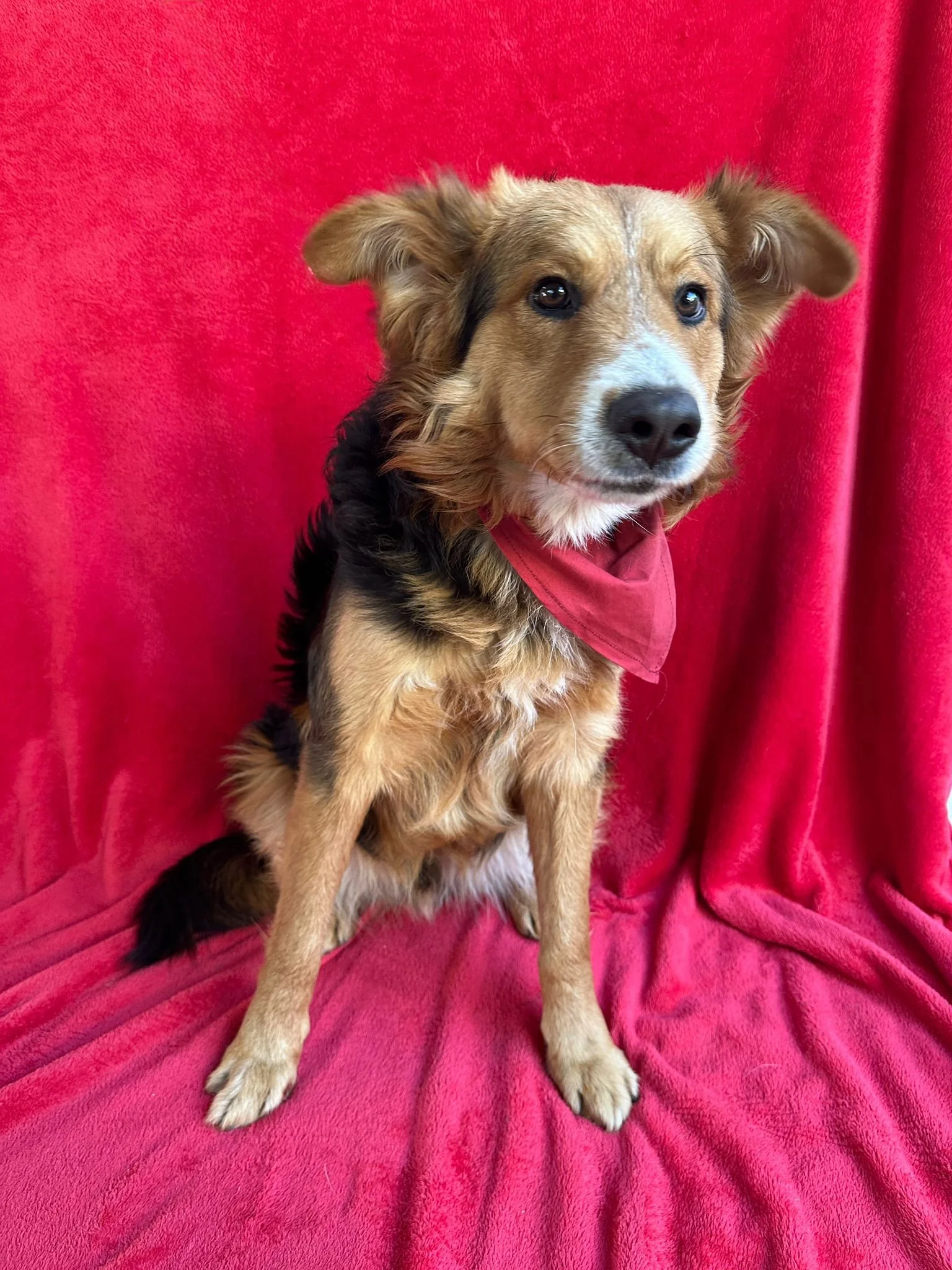 WhatsApp Image 2026-01-09 at 20.25.56 (1).jpeg