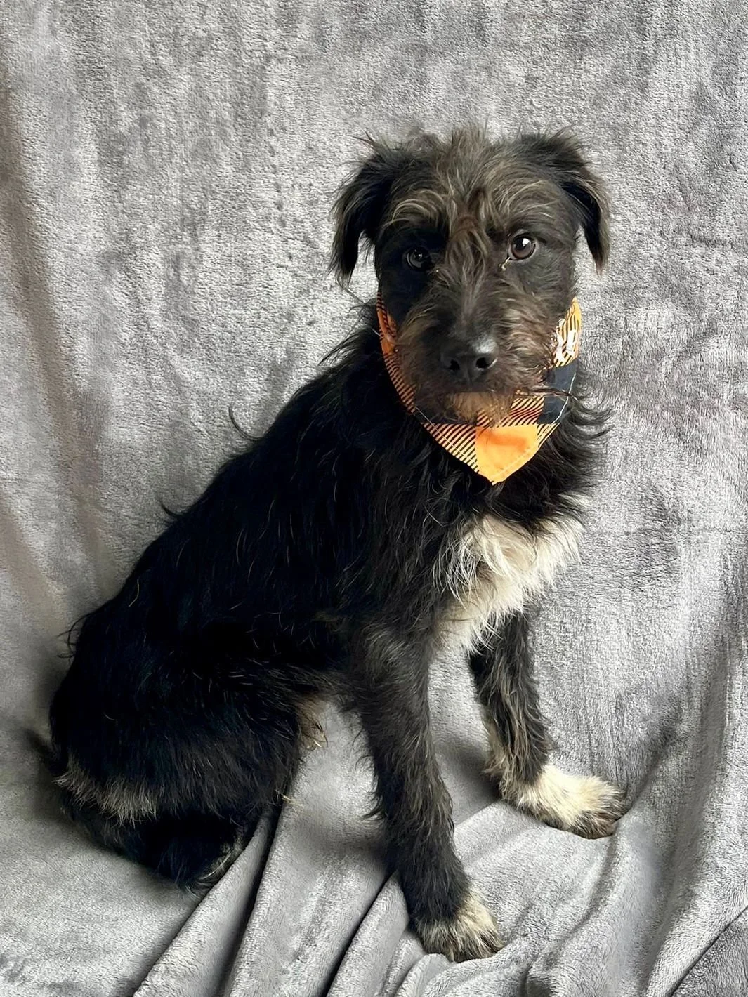 WhatsApp Image 2026-01-03 at 13.03.43 (1).jpeg