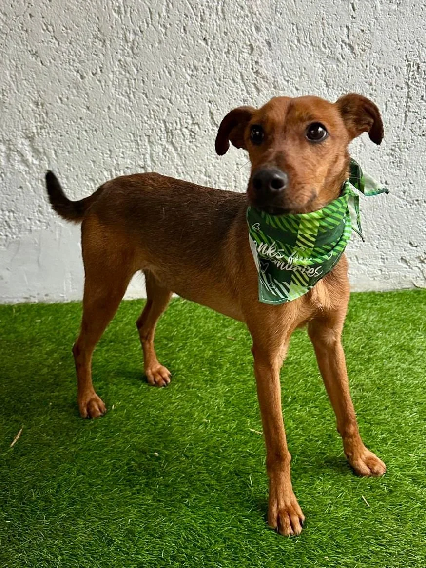 WhatsApp Image 2026-01-03 at 11.24.25 (1).jpeg