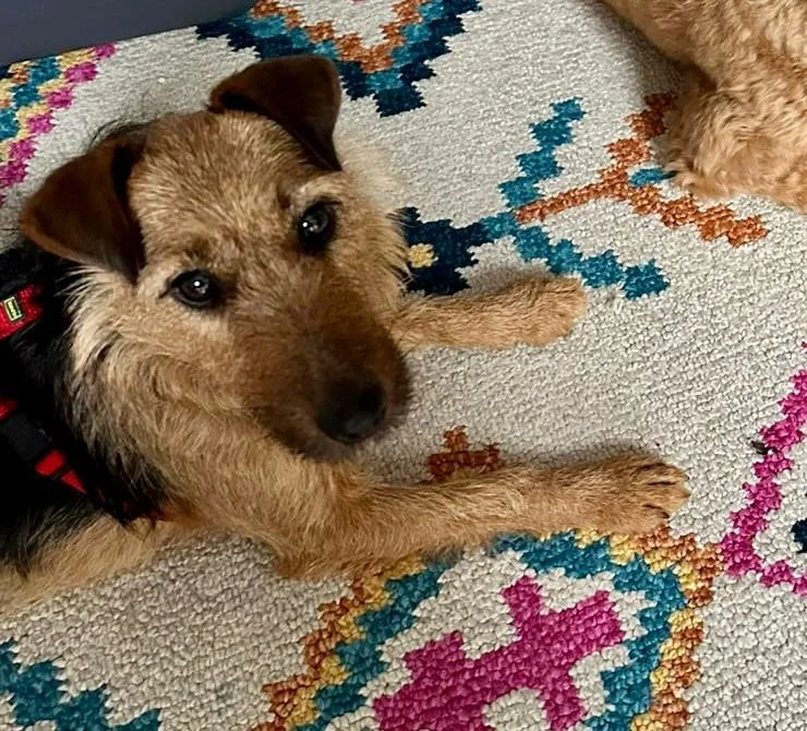 WhatsApp Image 2025-12-19 at 14.41.24 (1).jpeg