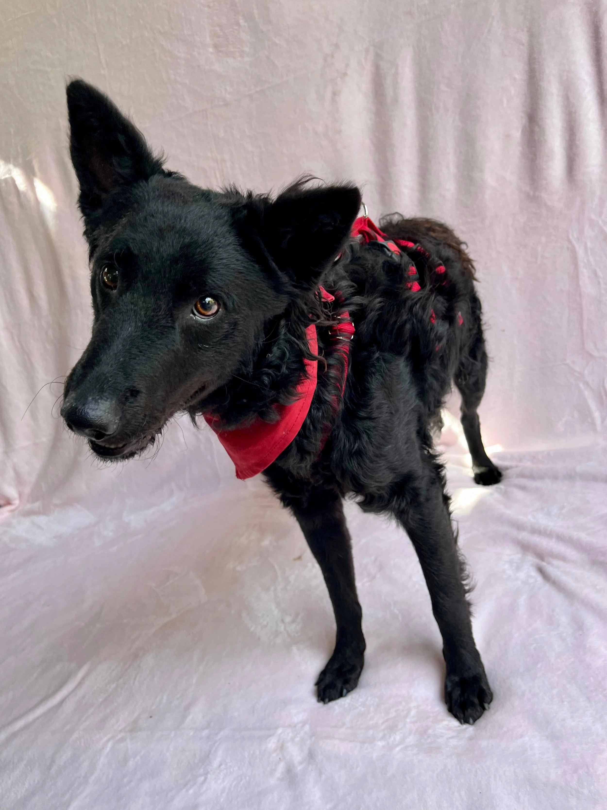 WhatsApp Image 2025-10-28 at 16.52.55 (1).jpeg