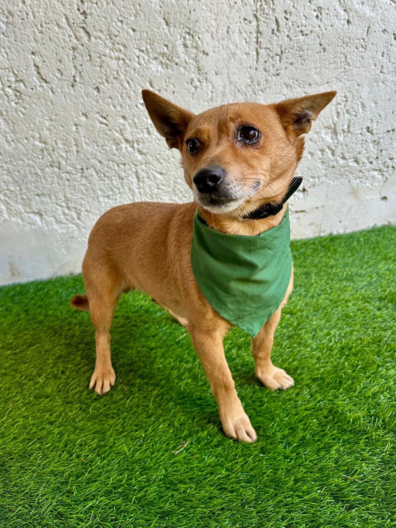 WhatsApp Image 2026-01-01 at 11.59.02.jpeg