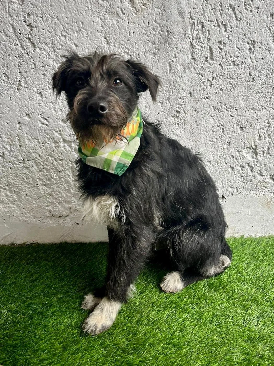 WhatsApp Image 2026-01-03 at 13.03.45.jpeg