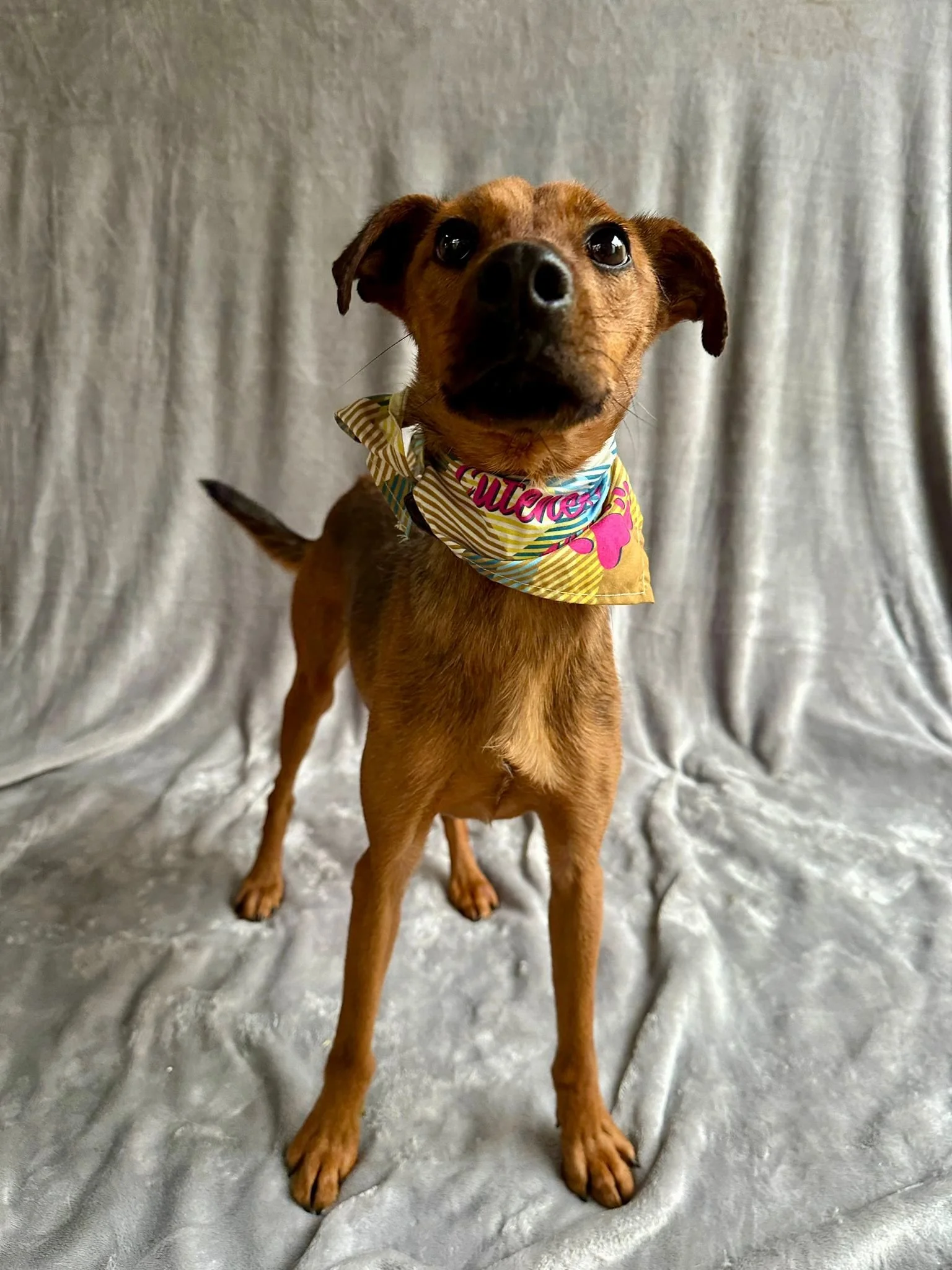 WhatsApp Image 2026-01-03 at 11.24.28 (3).jpeg