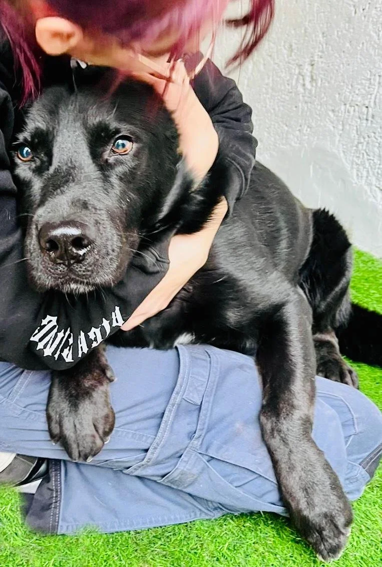 WhatsApp Image 2025-10-31 at 11.19.55.jpeg