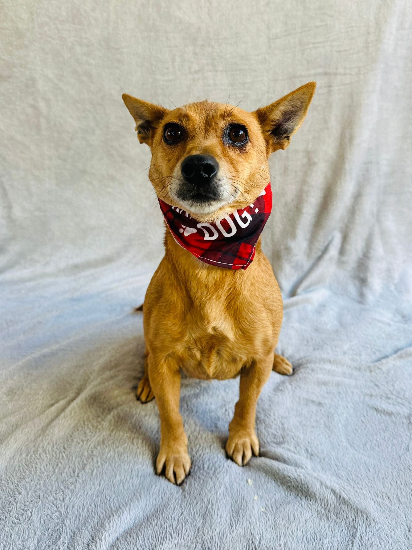 WhatsApp Image 2026-01-01 at 11.58.57.jpeg