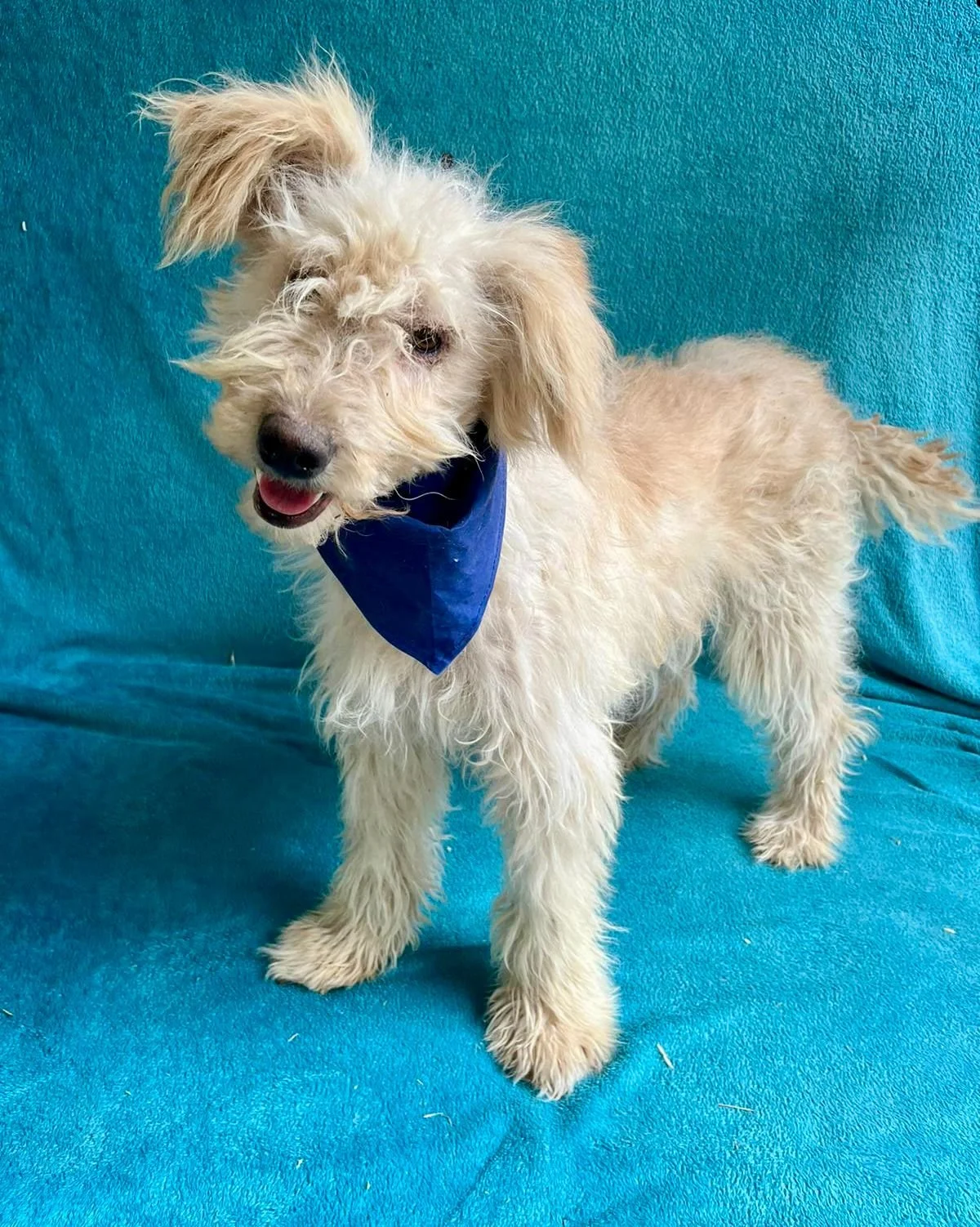 WhatsApp Image 2025-10-31 at 10.04.26.jpeg