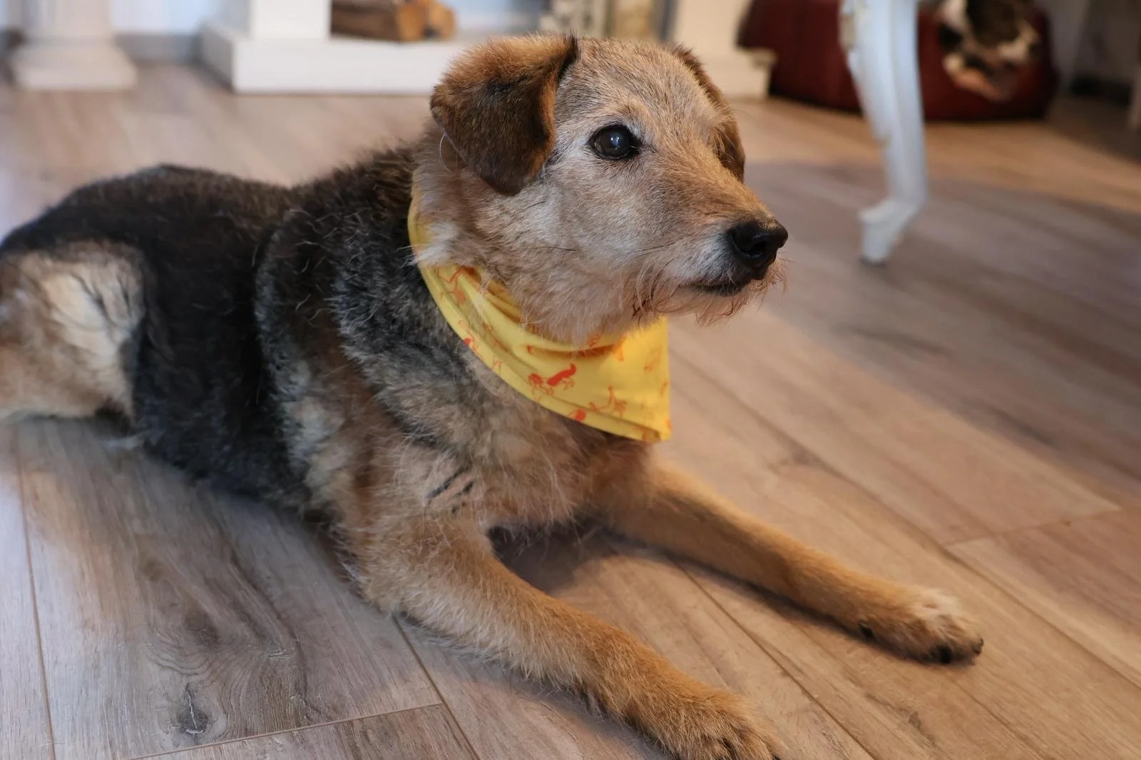 WhatsApp Image 2026-01-24 at 19.38.56 (2).jpeg