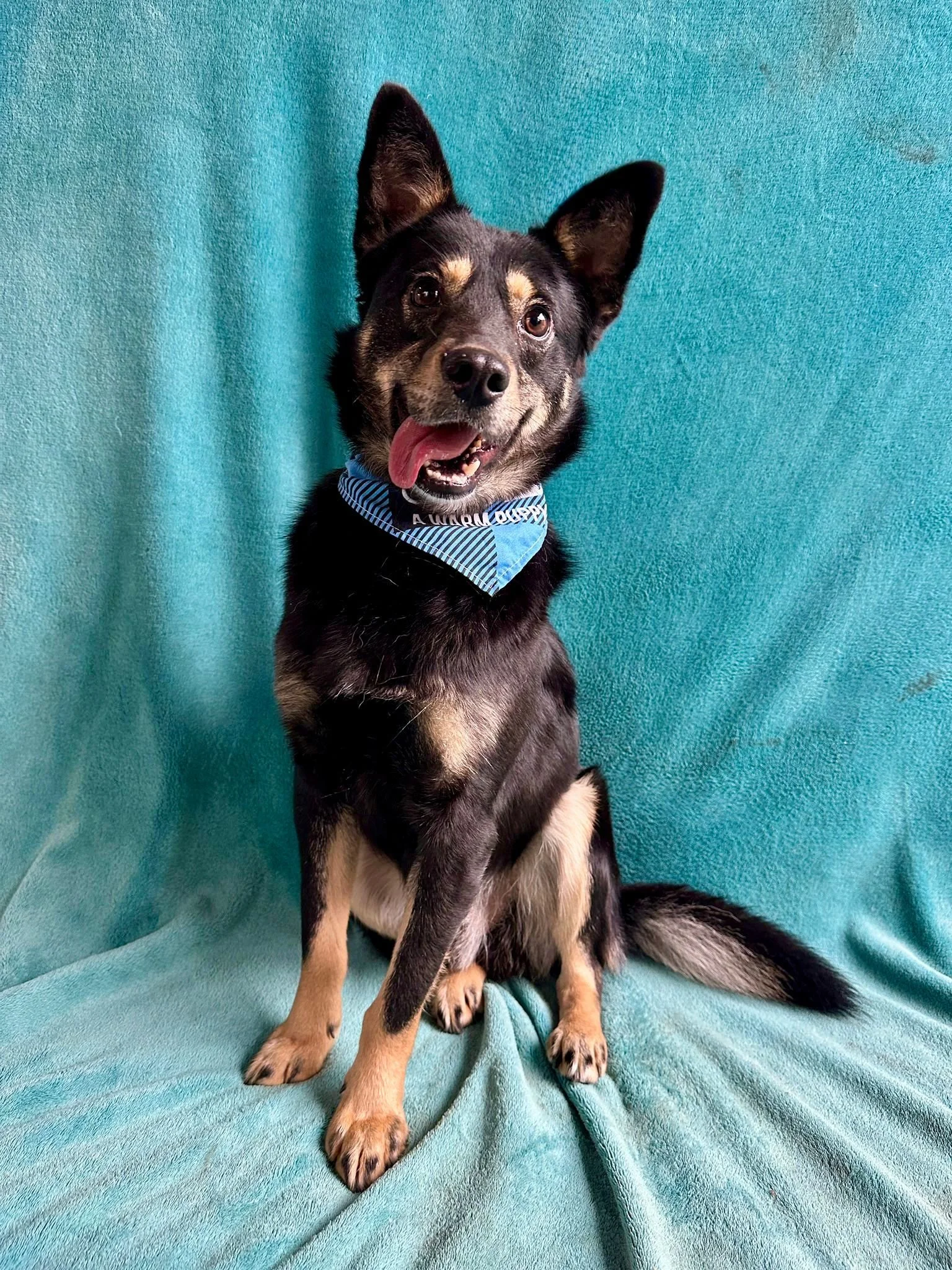 WhatsApp Image 2026-01-01 at 13.24.55.jpeg