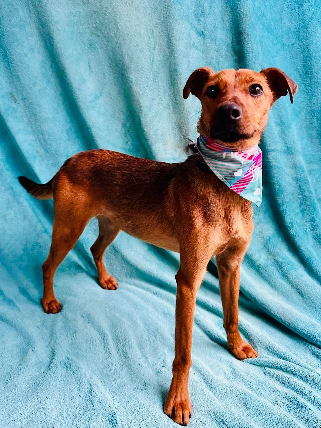 WhatsApp Image 2026-01-03 at 11.24.28.jpeg