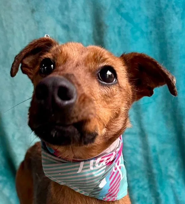 WhatsApp Image 2026-01-03 at 11.24.24.jpeg