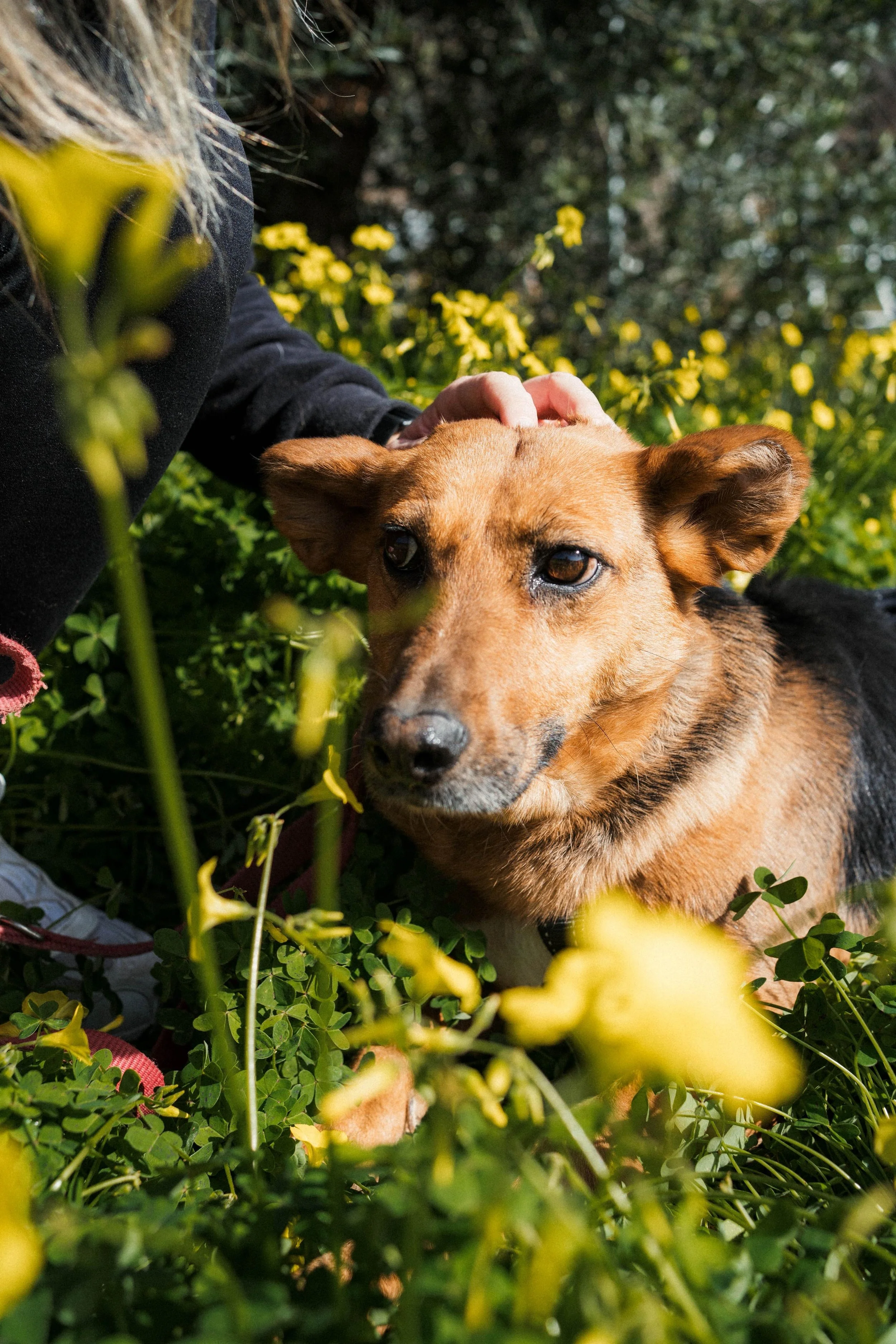 ede26436-f518-46a8-b89b-46c37973b4a8.jpeg
