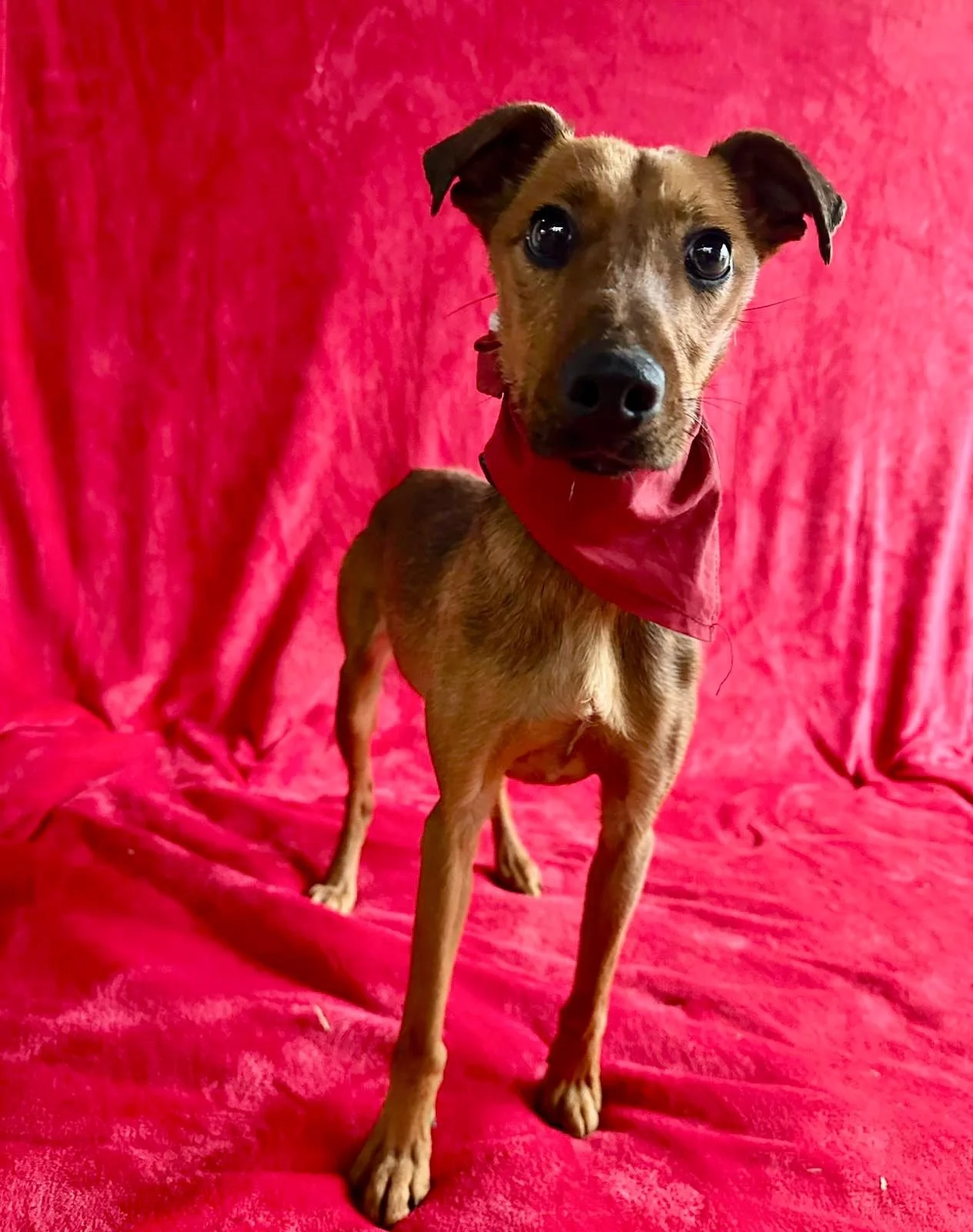 WhatsApp Image 2026-01-03 at 11.24.26 (2).jpeg