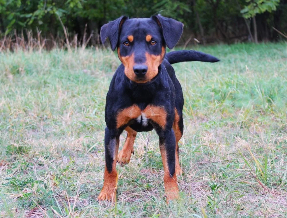 WhatsApp Image 2025-10-28 at 15.46.51 (1).jpeg