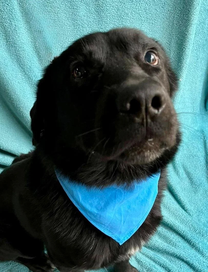 WhatsApp Image 2025-10-31 at 11.19.53.jpeg