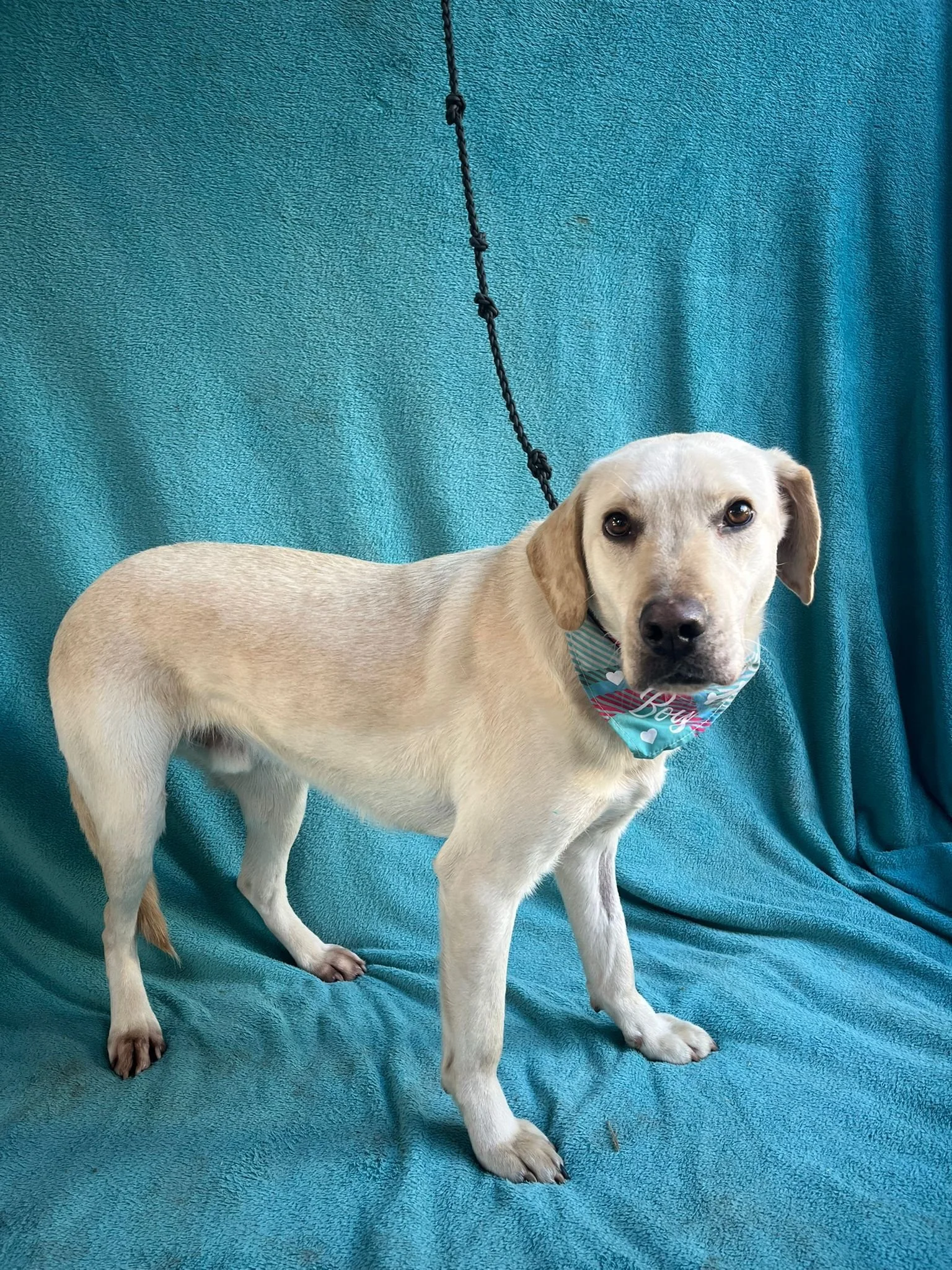 WhatsApp Image 2026-01-01 at 19.16.36 (1).jpeg