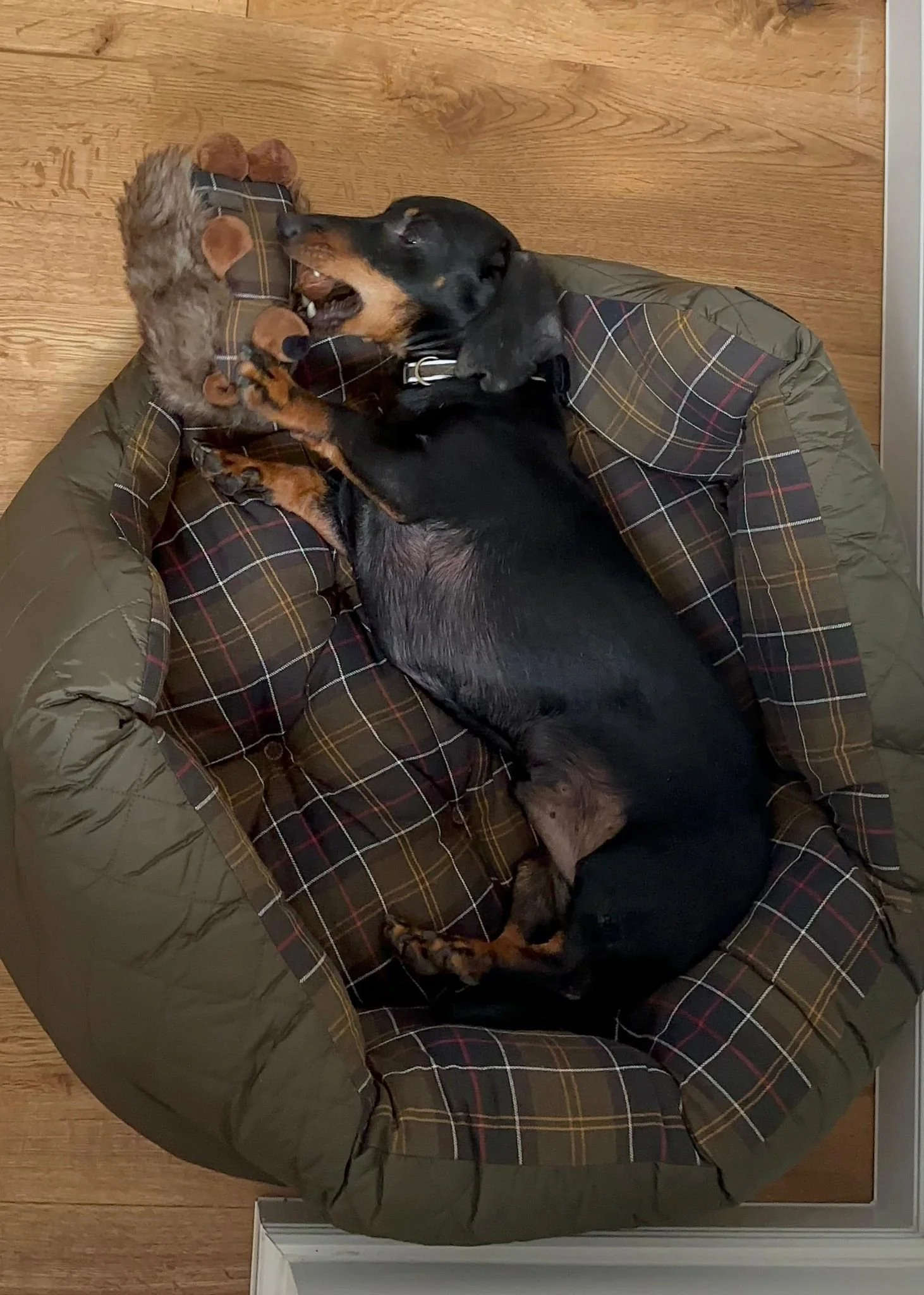 WhatsApp Image 2025-11-17 at 10.34.35.jpeg