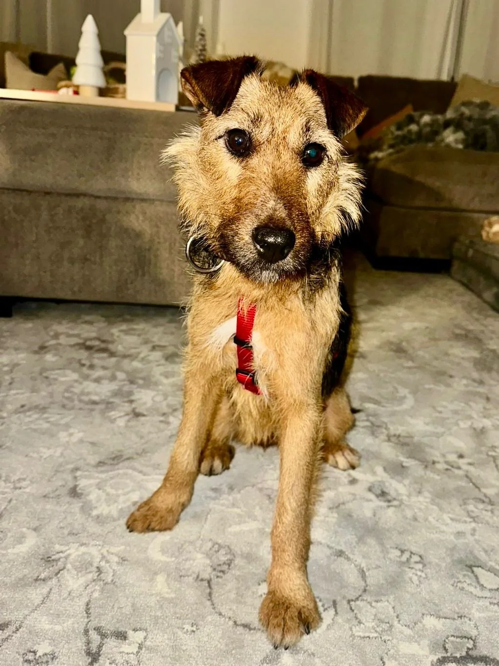 WhatsApp Image 2025-12-19 at 14.41.20 (1).jpeg