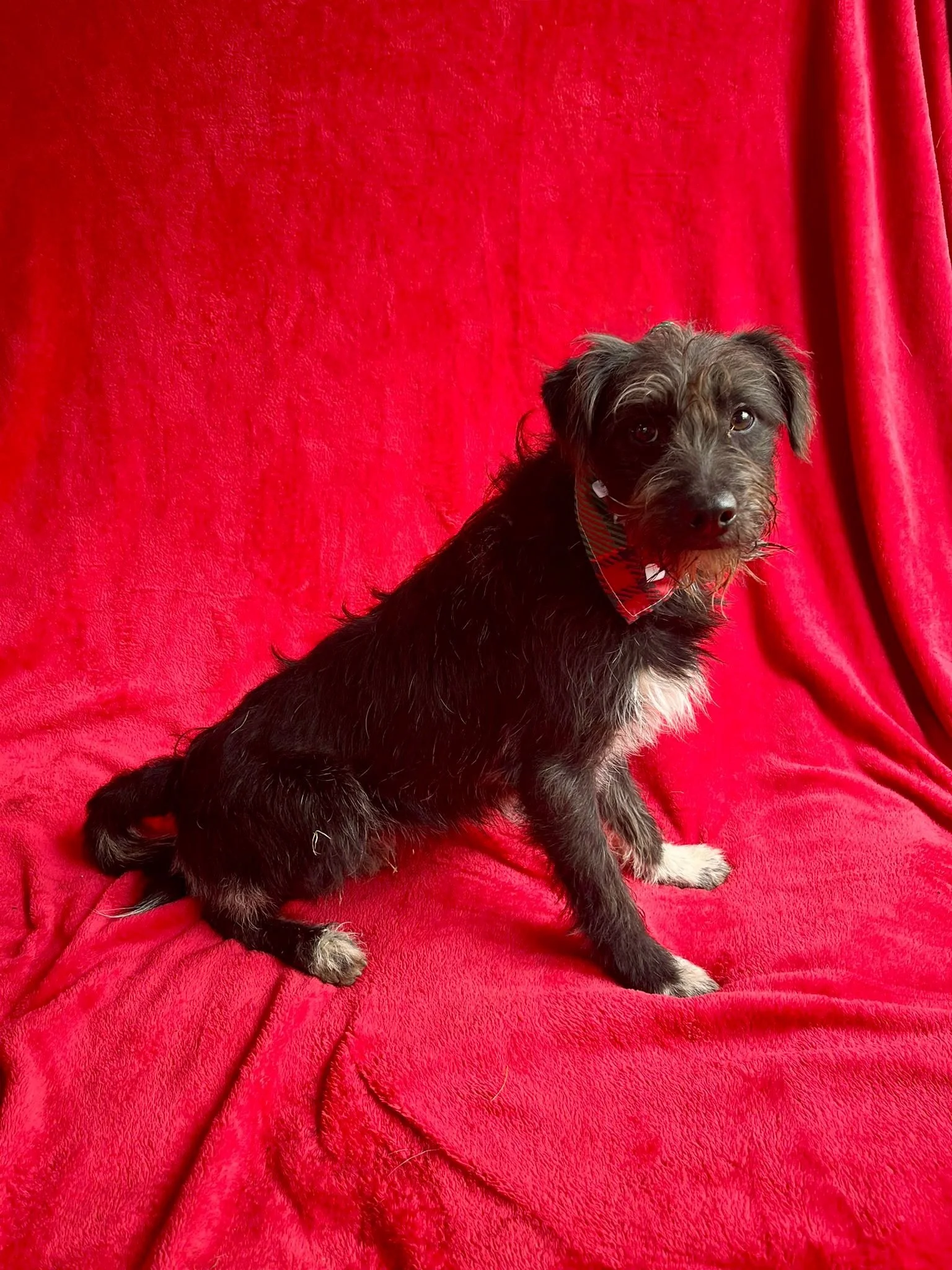 WhatsApp Image 2026-01-03 at 13.03.45 (2).jpeg