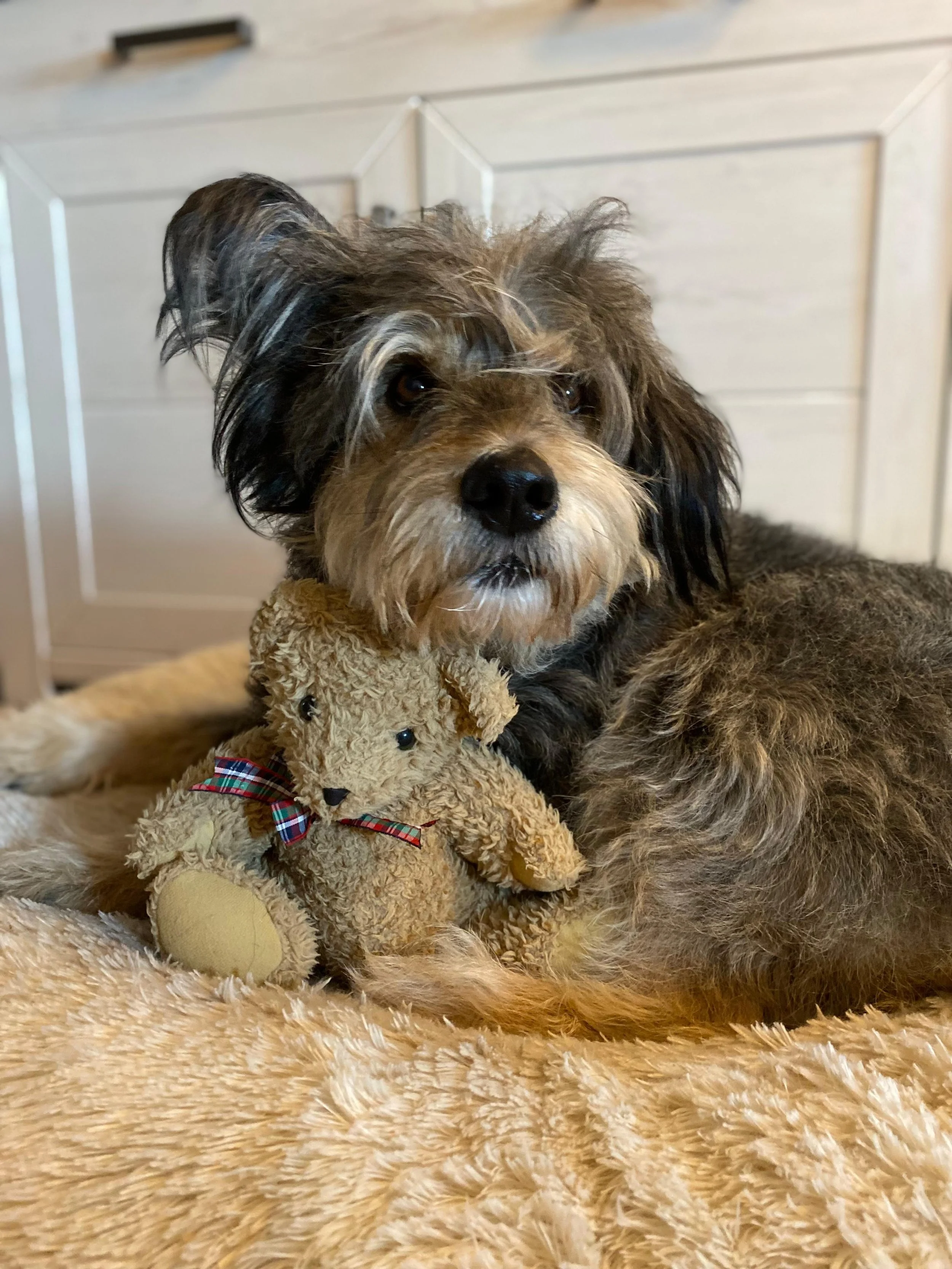 WhatsApp Image 2026-01-10 at 12.02.48 (2).jpeg