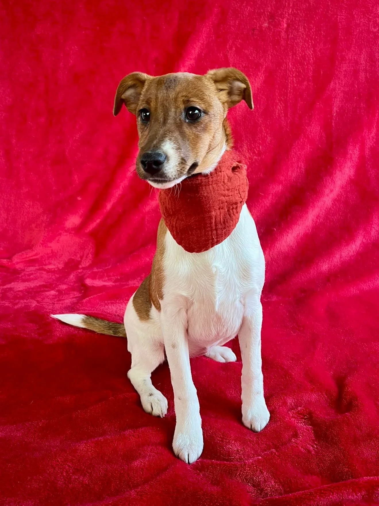 WhatsApp Image 2026-01-01 at 11.31.55 (1).jpeg