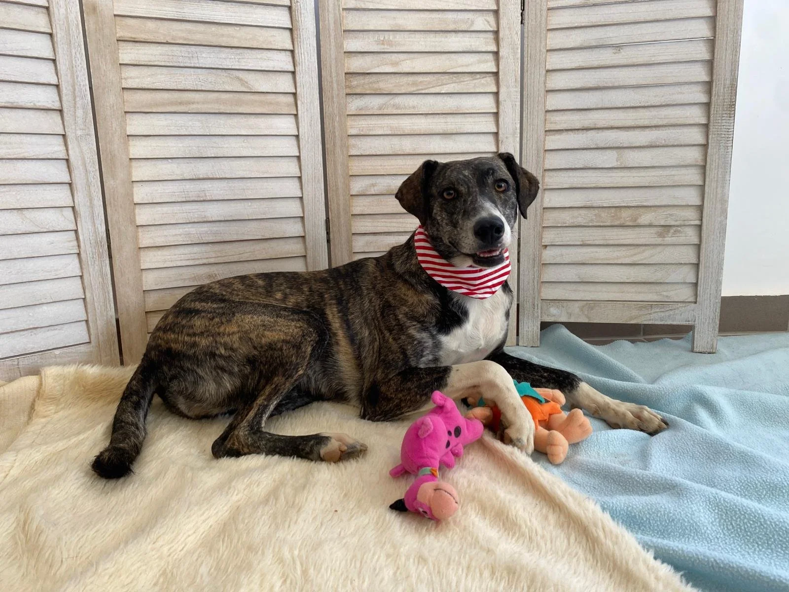 PHOTO-2025-11-12-09-35-40 (3).jpeg