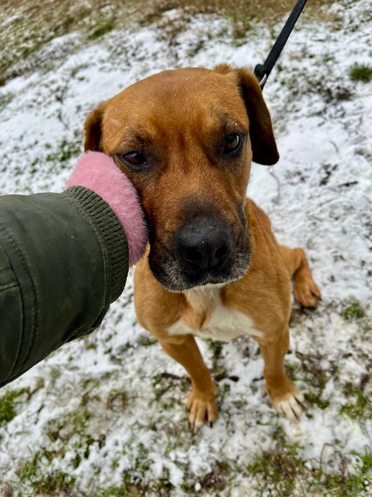 WhatsApp Image 2026-01-10 at 15.07.54 (2).jpeg