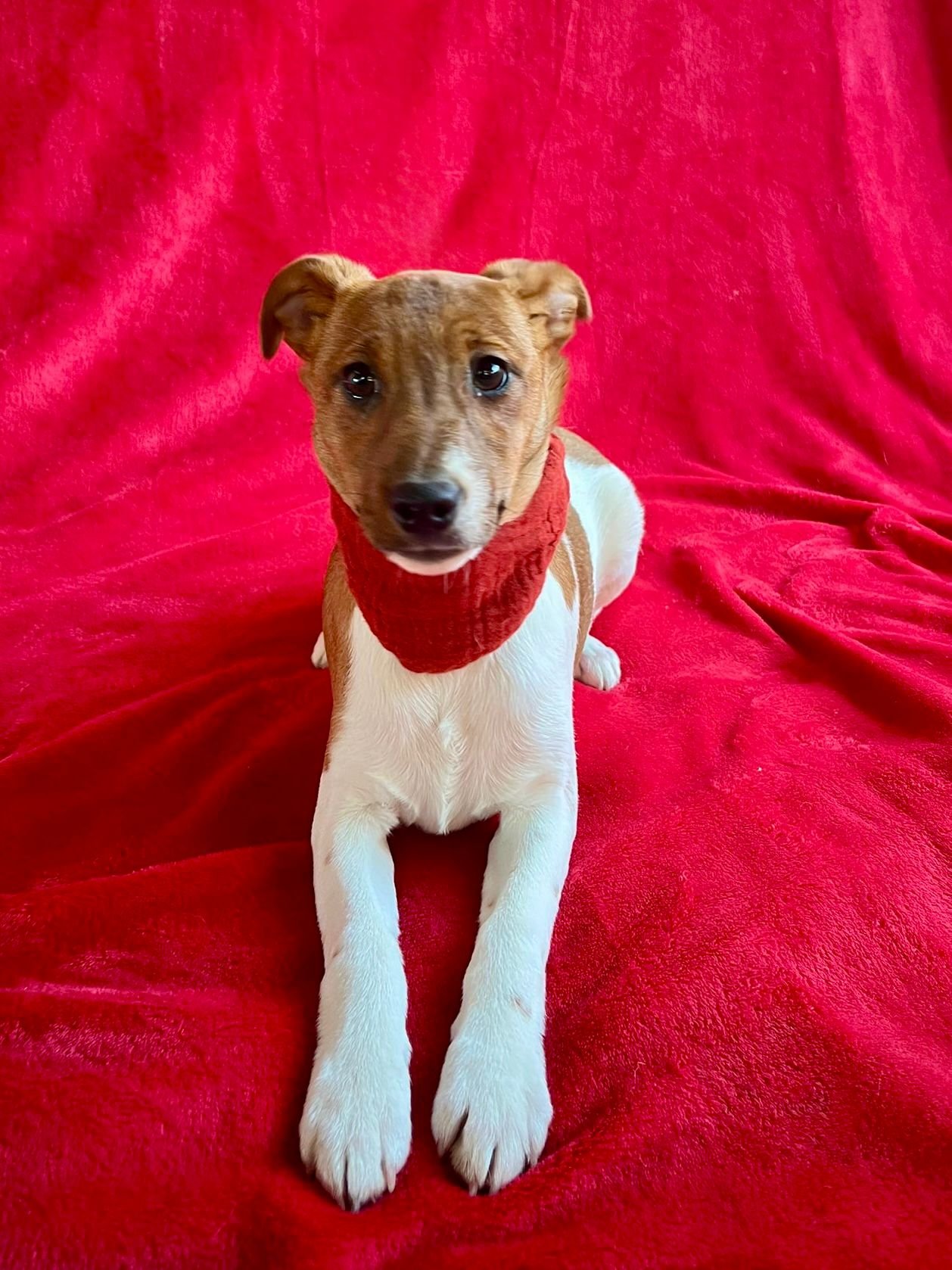 WhatsApp Image 2026-01-01 at 11.31.57 (2).jpeg