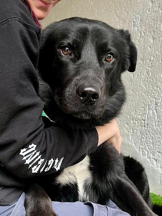 WhatsApp Image 2025-10-31 at 11.19.56.jpeg