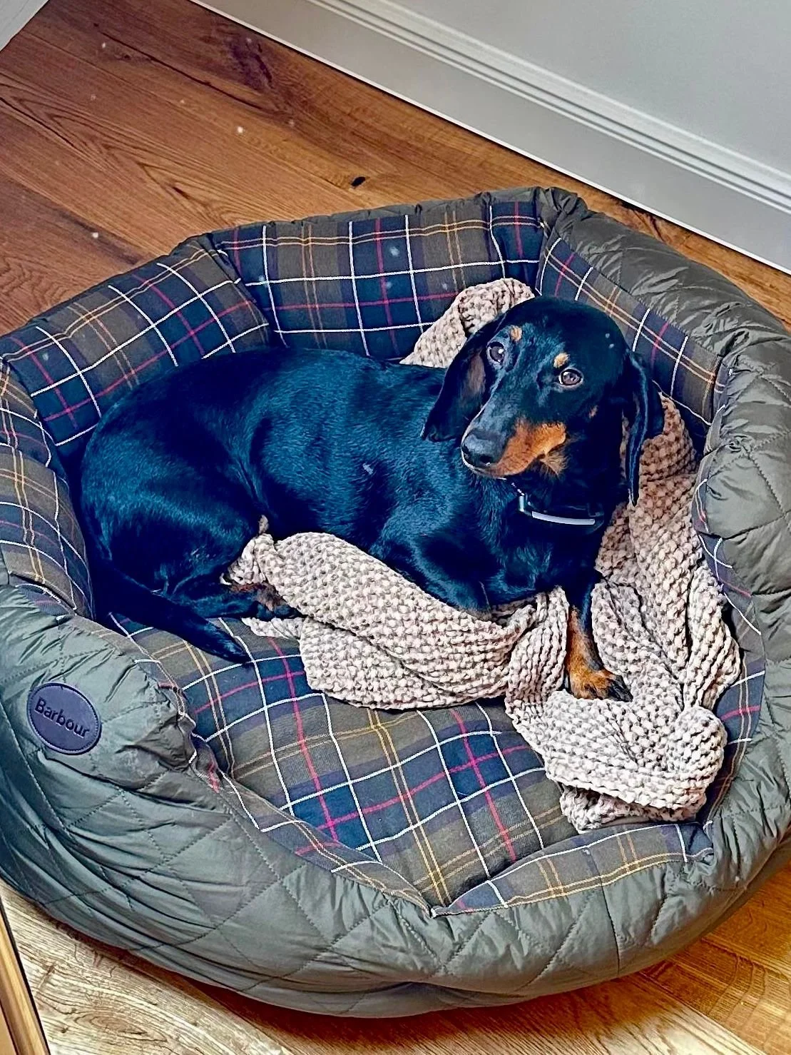 WhatsApp Image 2025-11-17 at 10.34.41 (2).jpeg