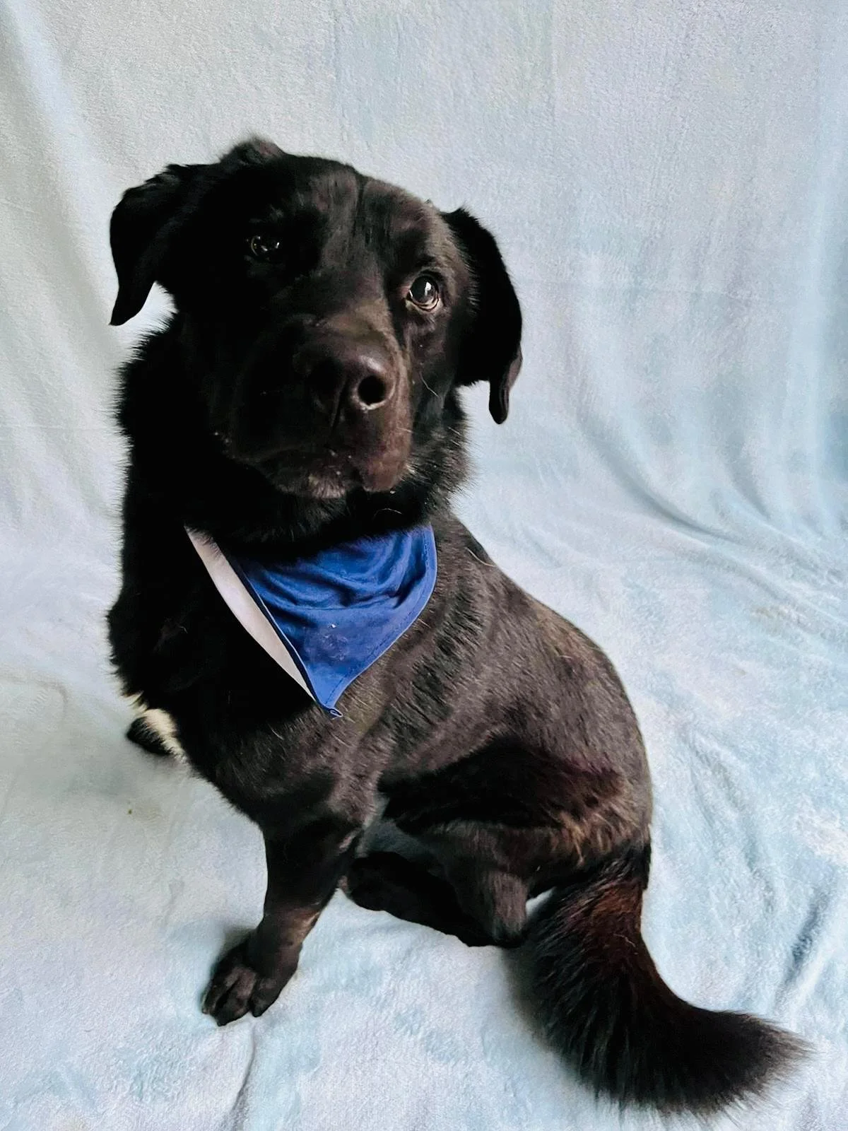 WhatsApp Image 2025-10-31 at 11.19.54.jpeg