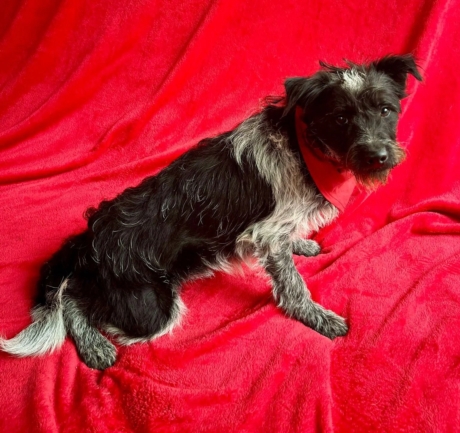 WhatsApp Image 2026-01-03 at 17.56.43 (2).jpeg