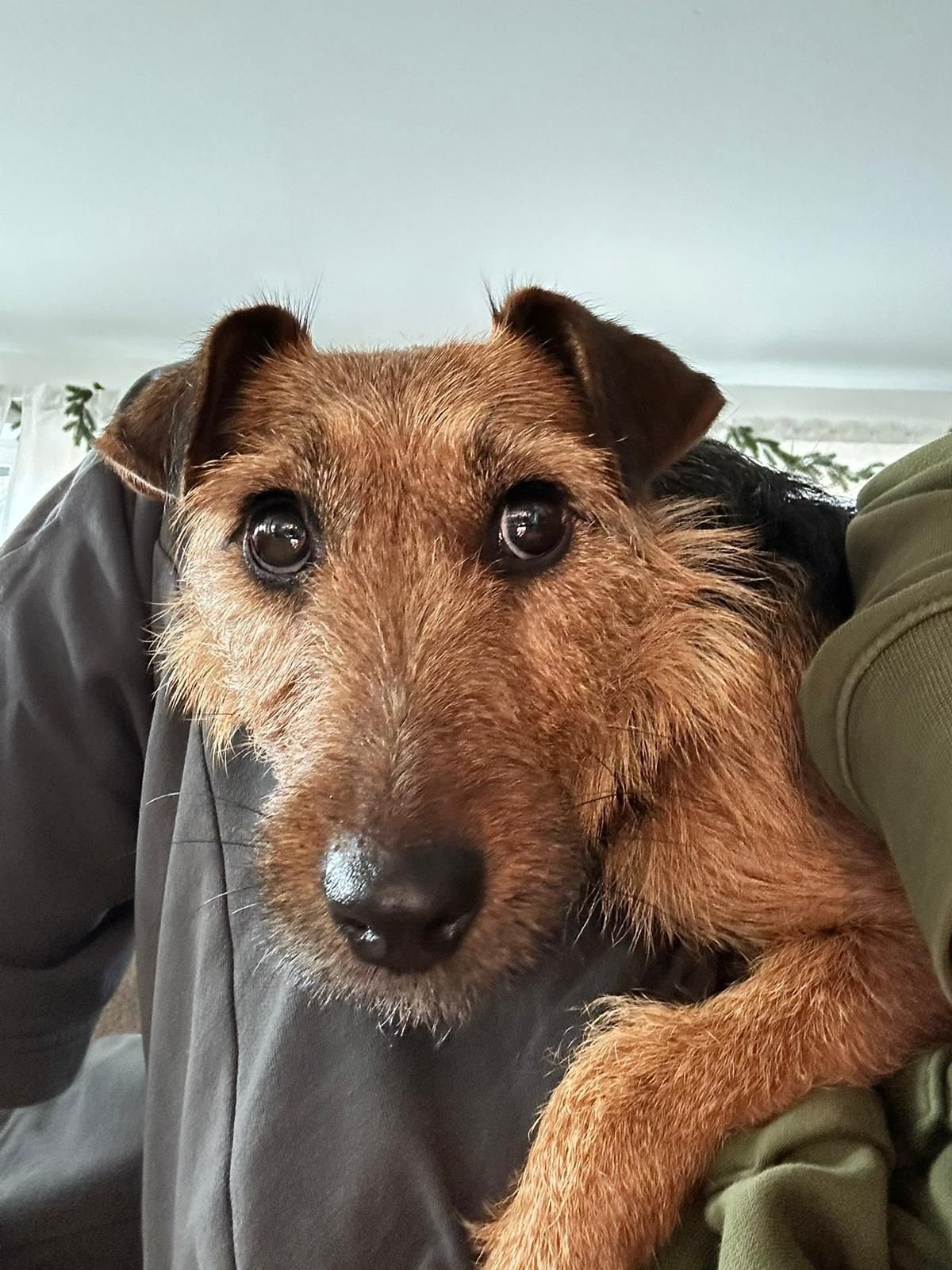 WhatsApp Image 2025-12-19 at 14.41.23.jpeg