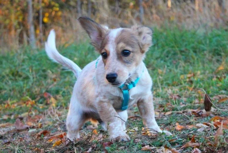 WhatsApp Image 2025-11-18 at 09.53.28 (1).jpeg