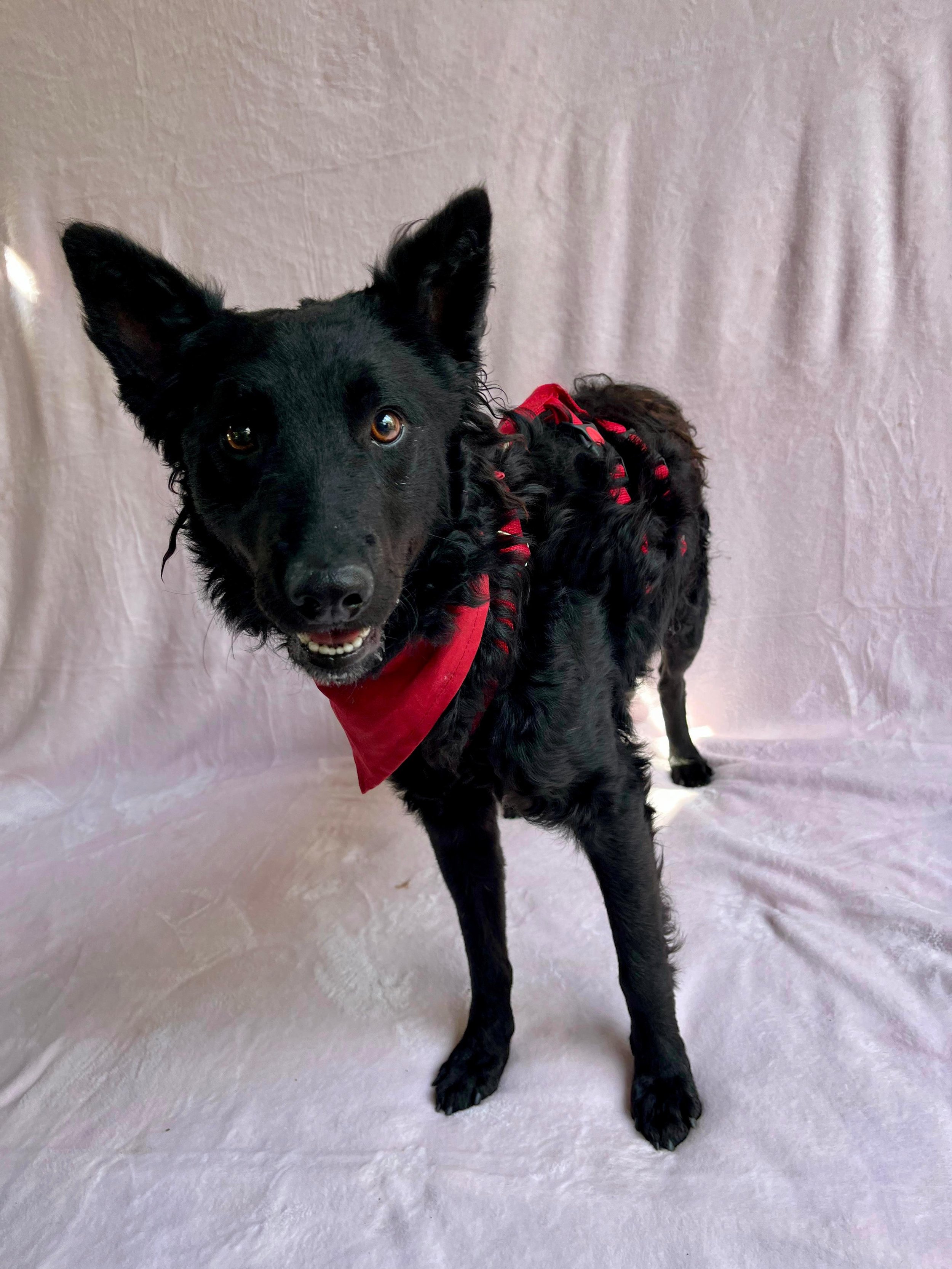 WhatsApp Image 2025-10-28 at 16.52.57 (1).jpeg