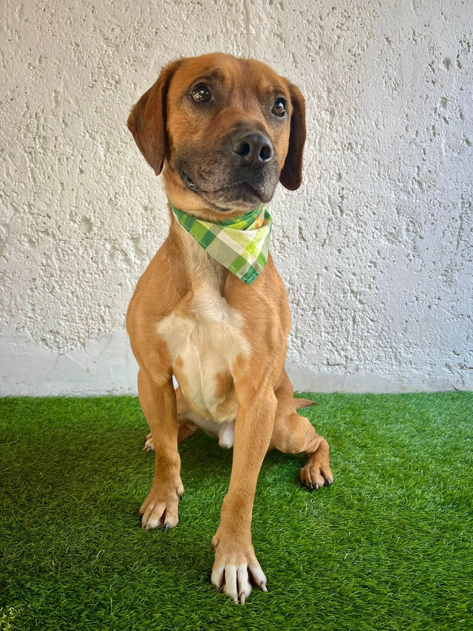 WhatsApp Image 2026-01-10 at 15.07.56.jpeg