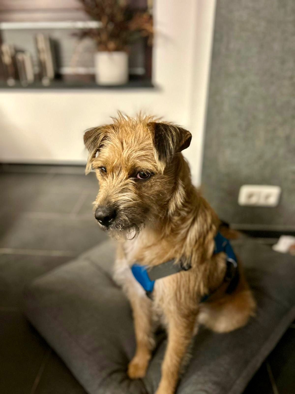 WhatsApp Image 2025-11-19 at 17.16.49.jpeg