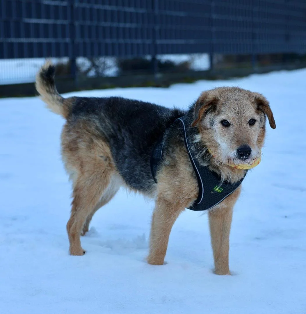 WhatsApp Image 2026-01-24 at 19.38.53 (2).jpeg