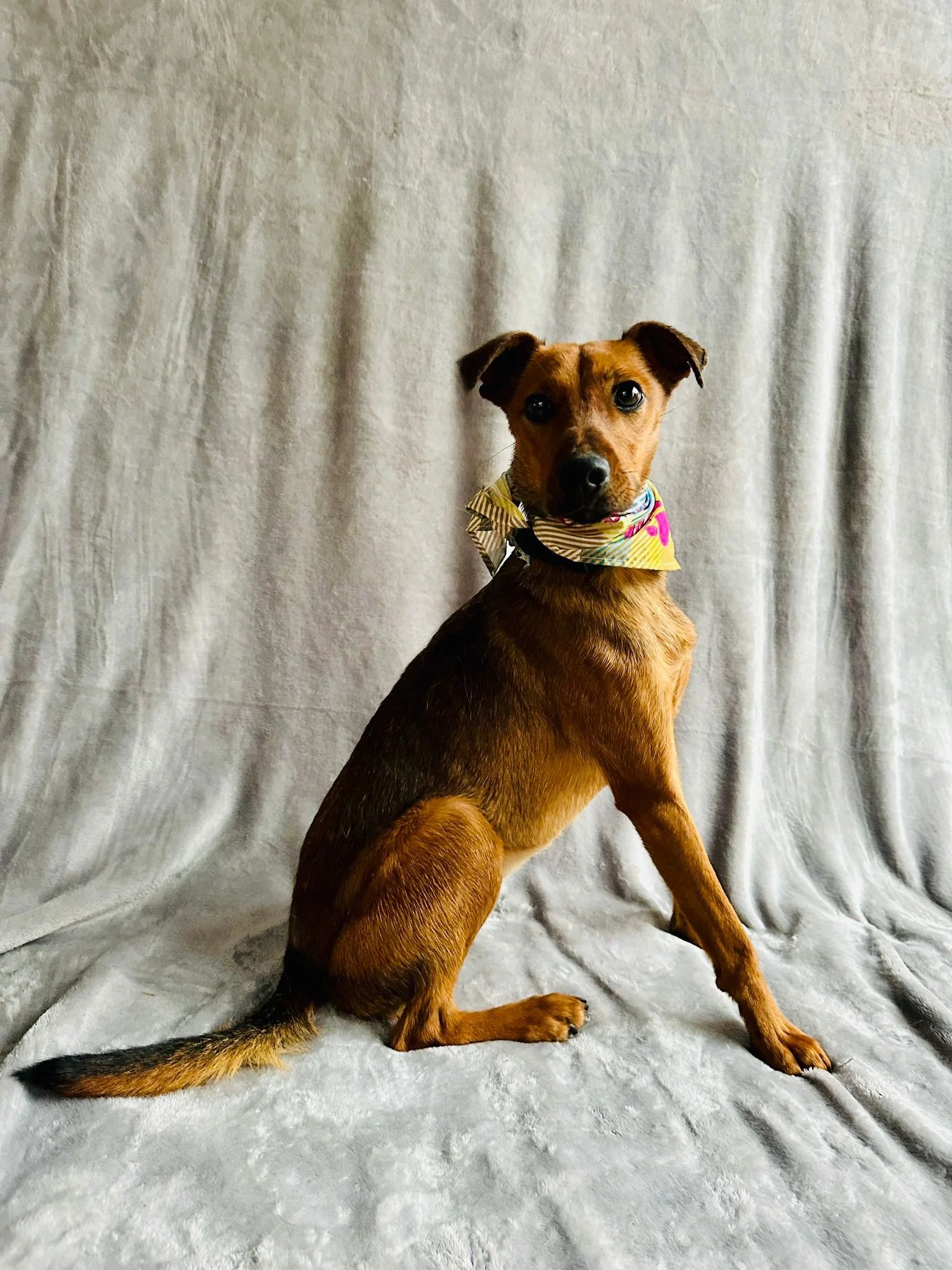 WhatsApp Image 2026-01-03 at 11.24.28 (2).jpeg