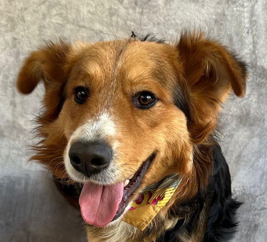 WhatsApp Image 2026-01-09 at 20.25.58 (2).jpeg