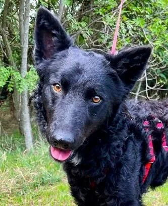 WhatsApp Image 2025-10-28 at 16.52.54.jpeg