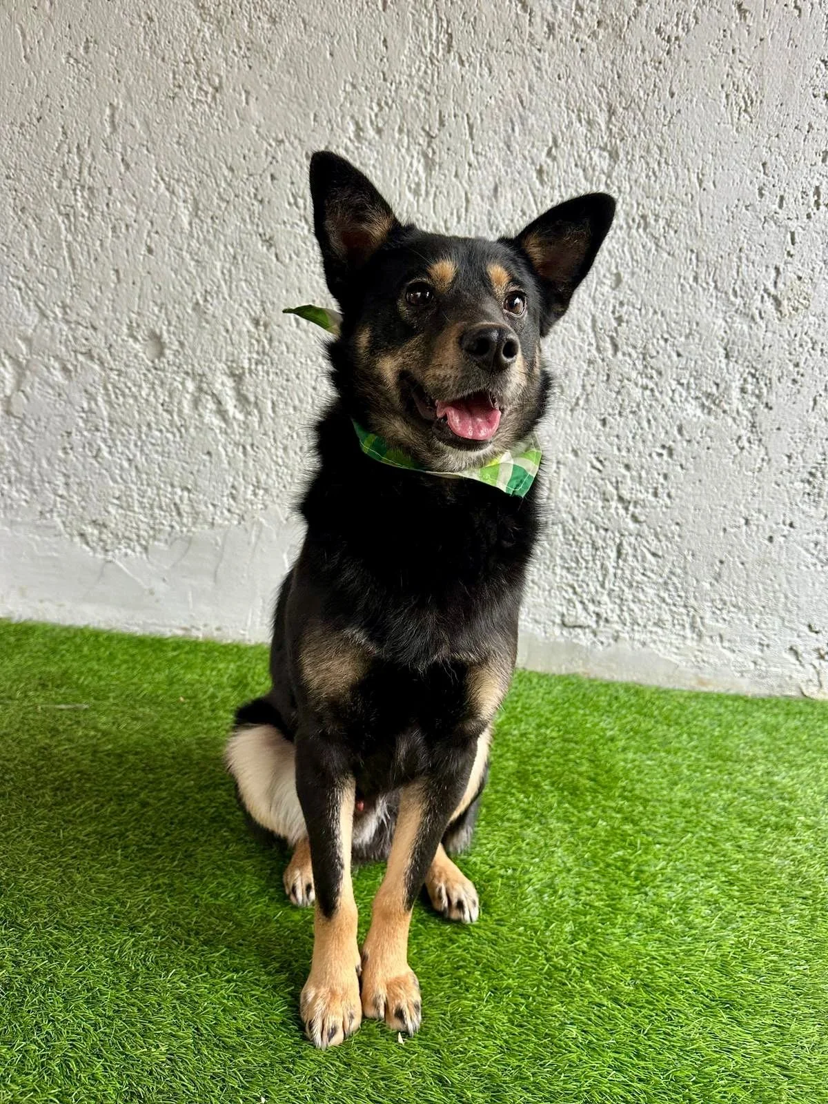 WhatsApp Image 2026-01-01 at 13.24.52 (2).jpeg