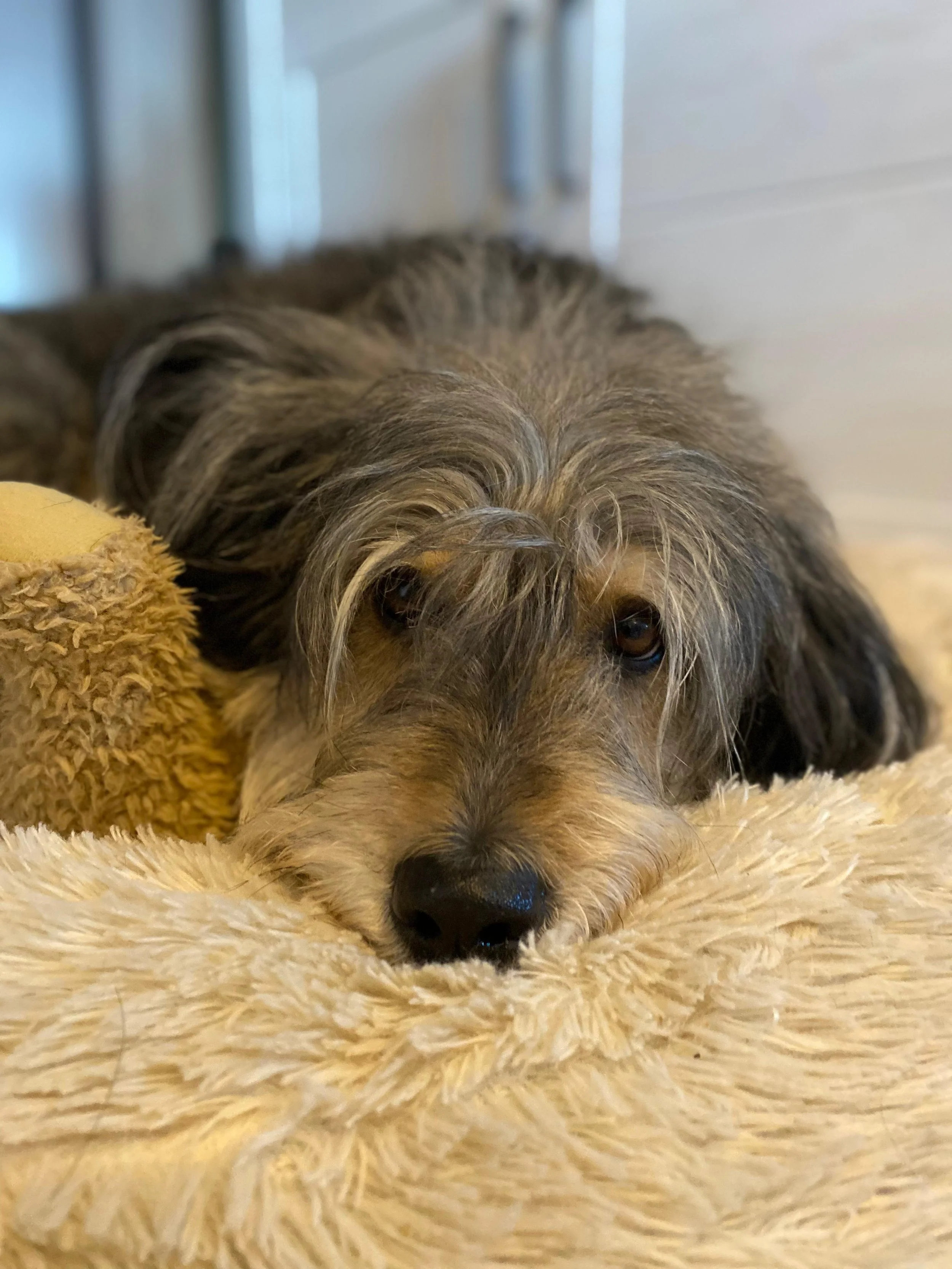 WhatsApp Image 2026-01-10 at 12.02.49.jpeg