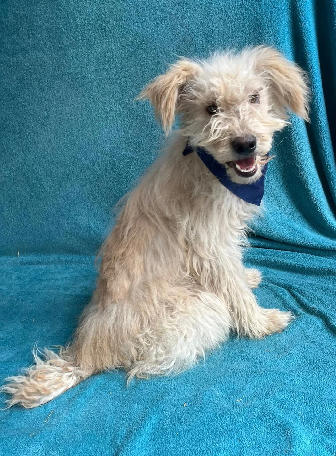 WhatsApp Image 2025-10-31 at 10.04.26 (1).jpeg