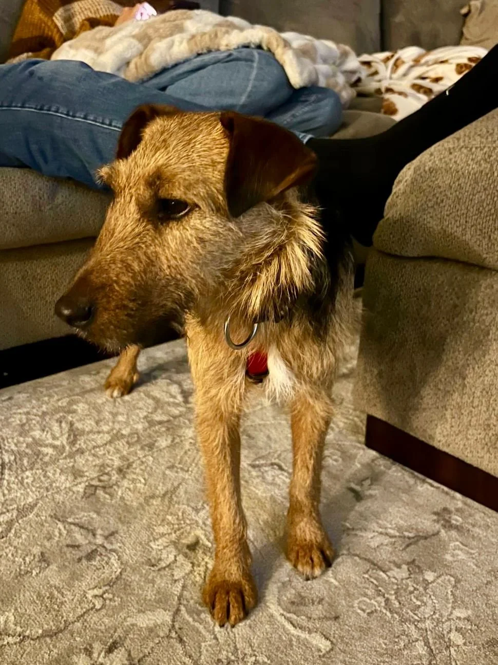 WhatsApp Image 2025-12-19 at 14.41.21 (1).jpeg